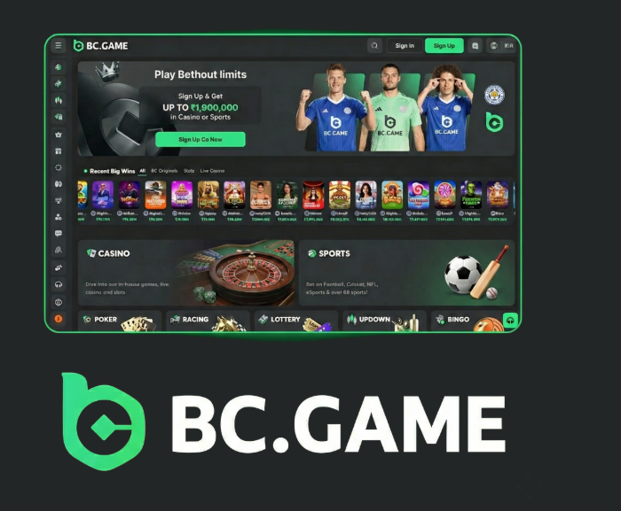 Exploring the Thrills of BC.Game Casino